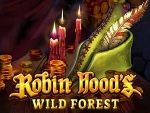 Robin Hoods Wild Forest game screenshot